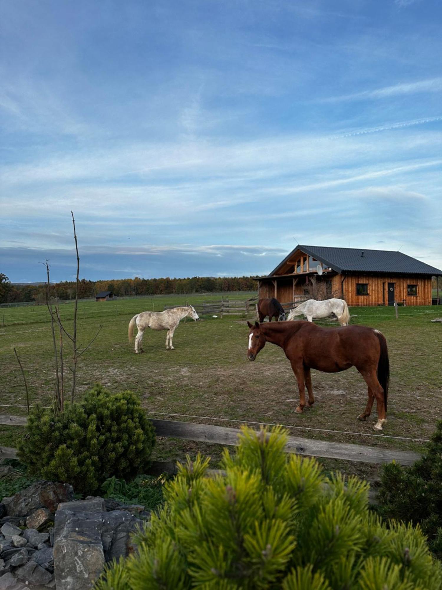 Dum Splnenych Prani Villa Praslavice Exterior photo